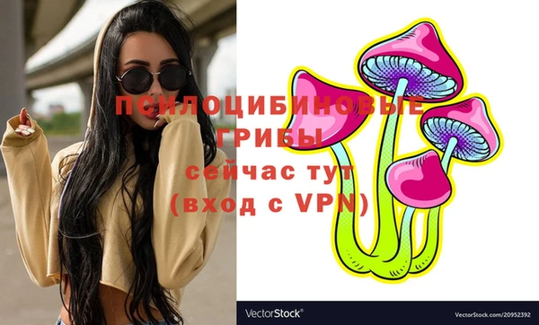 гидропоника Каменка