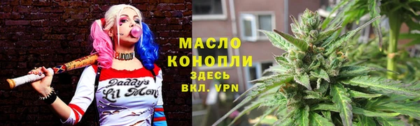 гидропоника Каменка