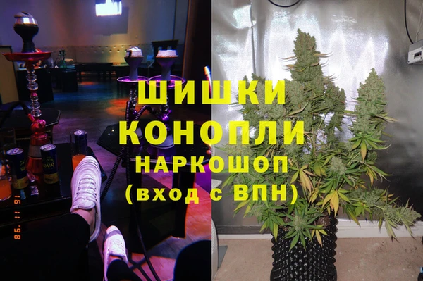 гидропоника Каменка