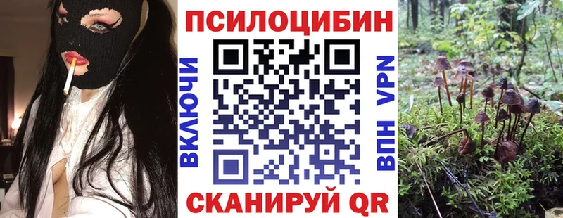 Галлюциногенные грибы GOLDEN TEACHER  Купить где  Белоярский 